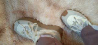 Фото отзыва Анжелика - 1