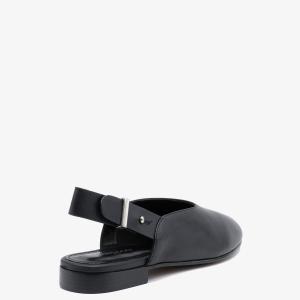 Слингбэки 10481 Слингбэки 10481