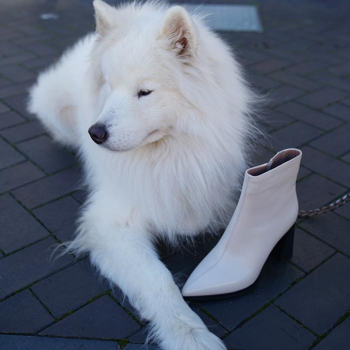 Ботильоны 10836