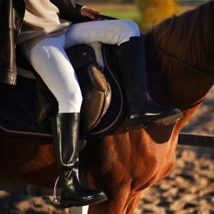 Сапоги 9785 Сапоги 9785